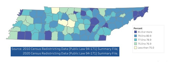 Tennessee Population Density Map